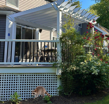 Pergola_Kit_with_lattice.jpg