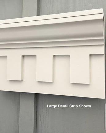 large dental strip.jpg