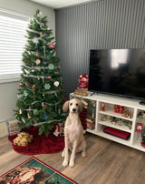 Slat wall paneling with christmas decorations 
